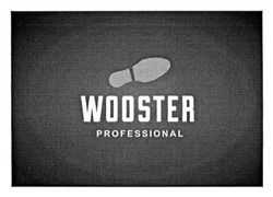Свідоцтво торговельну марку № 239921 (заявка m201612974): wooster professional