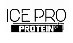 Свідоцтво торговельну марку № 307047 (заявка m201929165): ice pro protein; ісе