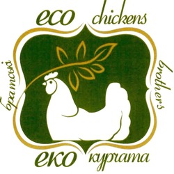 Свідоцтво торговельну марку № 283928 (заявка m201821500): eco chickens brothers; eko; еко курчата братські; есо