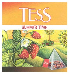 Свідоцтво торговельну марку № 148112 (заявка m201017765): tess summer time; тіме
