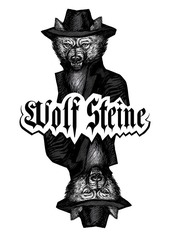 Свідоцтво торговельну марку № 303999 (заявка m201916652): wolf steine