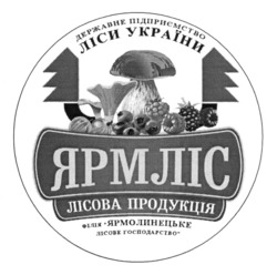 Заявка на торговельну марку № m202403827: державне підприємство ліси україни; лісова продукція філія; ярмолинецьке лісове господарство; ліси україни ярмліс