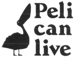 Свідоцтво торговельну марку № 301435 (заявка m201915165): pelican live