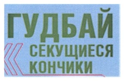 Свідоцтво торговельну марку № 188364 (заявка m201312443): гудбай секущиеся кончики
