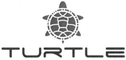 Заявка на торговельну марку № m201208184: turtle