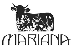 Заявка на торговельну марку № m201912042: mariana