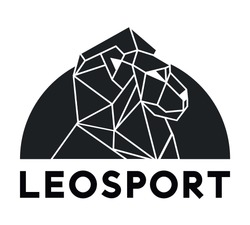 Заявка на торговельну марку № m202211780: leosport