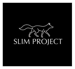 Заявка на торговельну марку № m202304819: slim project
