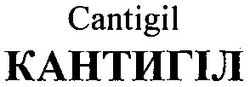 Свідоцтво торговельну марку № 58518 (заявка 20040505424): cantigil; кантигіл