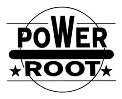 Свідоцтво торговельну марку № 197745 (заявка m201322805): power root