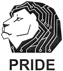 Свідоцтво торговельну марку № 197063 (заявка m201401353): pride