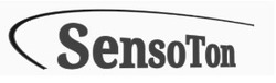 Свідоцтво торговельну марку № 299326 (заявка m201911104): sensoton; senso ton