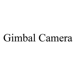 Свідоцтво торговельну марку № 321316 (заявка m202014610): gimbal camera