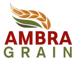 Свідоцтво торговельну марку № 329837 (заявка m202027168): ambra grain