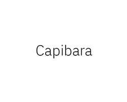 Заявка на торговельну марку № m202312483: capibara