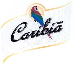 Свідоцтво торговельну марку № 174492 (заявка m201210808): cana caribia