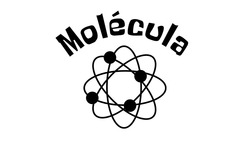 Заявка на торговельну марку № m202212954: molecula