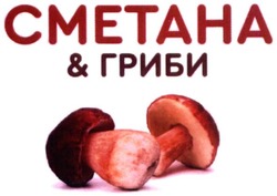Свідоцтво торговельну марку № 332445 (заявка m202001868): cmetaha; сметана&гриби; сметана гриби