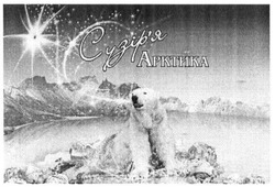 Свідоцтво торговельну марку № 288670 (заявка m201901501): сузір'я арктика; сузіря арктика