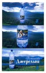 Заявка на торговельну марку № m201911688: мінеральна вода пістинська джерельна безцінний дар карпатських гір; карпатська мінеральна вода; спонсор показу; t