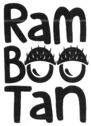 Свідоцтво торговельну марку № 313643 (заявка m202007963): ram boo tan; rambootan
