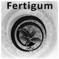 Заявка на торговельну марку № m201927239: fertigum