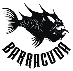 Свідоцтво торговельну марку № 346502 (заявка m202211422): barracuda