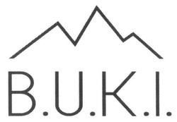 Свідоцтво торговельну марку № 250271 (заявка m201619868): b.u.k.i.; buki
