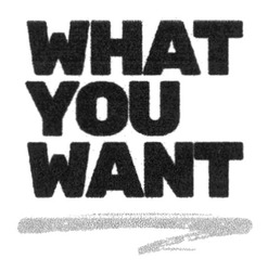 Заявка на торговельну марку № m201819938: what you want