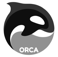 Свідоцтво торговельну марку № 339245 (заявка m202110337): orca