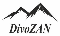 Заявка на торговельну марку № m202403122: divozan
