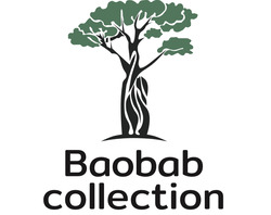 Заявка на торговельну марку № m202406004: baobab collection