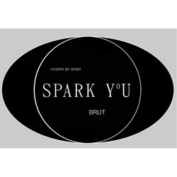 Заявка на торговельну марку № m202023864: brut; spark you; спарк ю брют