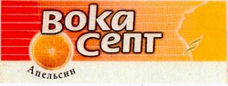 Свідоцтво торговельну марку № 103572 (заявка m200717170): вокасепт; апельсин; boka