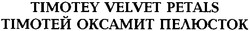 Заявка на торговельну марку № 20040808451: тімотей оксамит пелюсток; timotey velvet petais