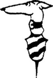 Міжнародна реєстрація торговельної марки № 1004703A