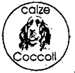 Міжнародна реєстрація торговельної марки № 1009307: calze Coccoli