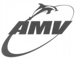 Міжнародна реєстрація торговельної марки № 1016371: AMV