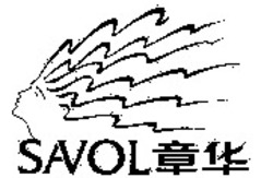 Міжнародна реєстрація торговельної марки № 1034380: SAVOL