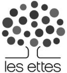 Міжнародна реєстрація торговельної марки № 1049680: les ettes