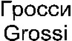 Міжнародна реєстрація торговельної марки № 1051180: Grossi
