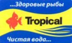 Міжнародна реєстрація торговельної марки № 1056244: Tropical