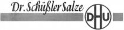 Міжнародна реєстрація торговельної марки № 1062010: Dr. Schüßler Salze