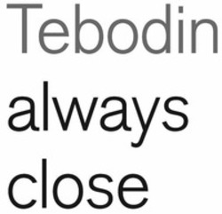 Міжнародна реєстрація торговельної марки № 1072475: Tebodin always close
