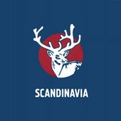Міжнародна реєстрація торговельної марки № 1129011: SCANDINAVIA