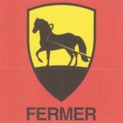 Міжнародна реєстрація торговельної марки № 1144037: FERMER