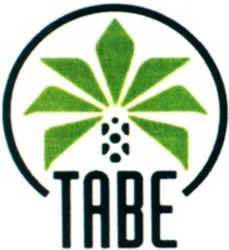 Міжнародна реєстрація торговельної марки № 1166872: TABE