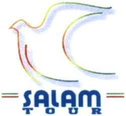 Міжнародна реєстрація торговельної марки № 1180016: SALAM TOUR