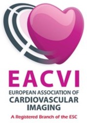 Міжнародна реєстрація торговельної марки № 1282463: EACVI EUROPEAN ASSOCIATION OF CARDIOVASCULAR IMAGING A Registered Branch of the ESC