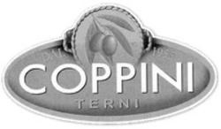 Міжнародна реєстрація торговельної марки № 1310132: COPPINI TERNI